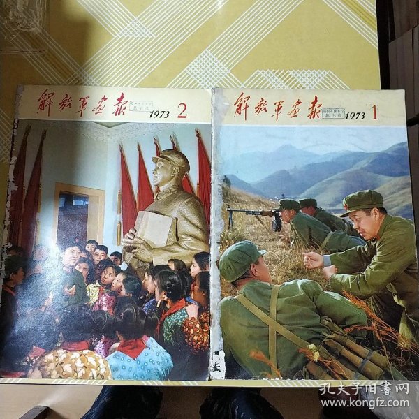 解放军画报(1973年全年1-12期)馆藏书见书影描述