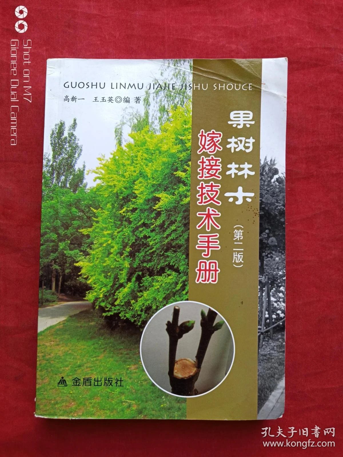 果树嫁接技术