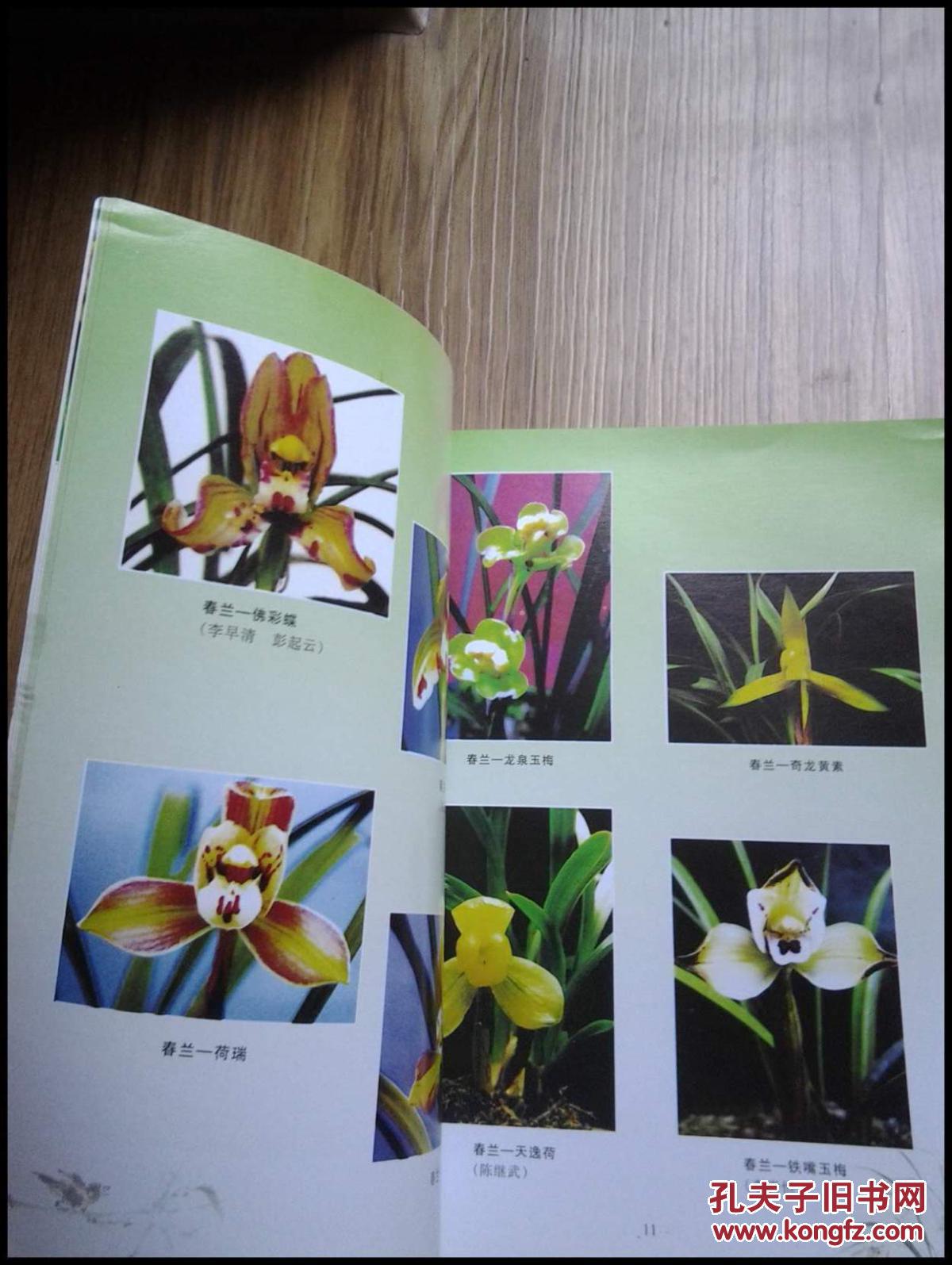 兰花鉴别手册见描述