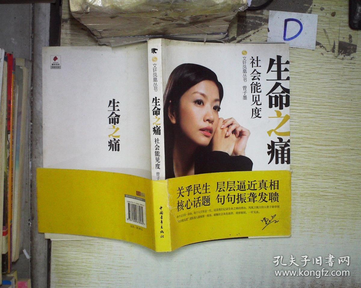 生命之痛:社会能见度 访谈集