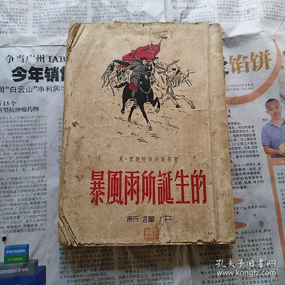 暴风雨所诞生的