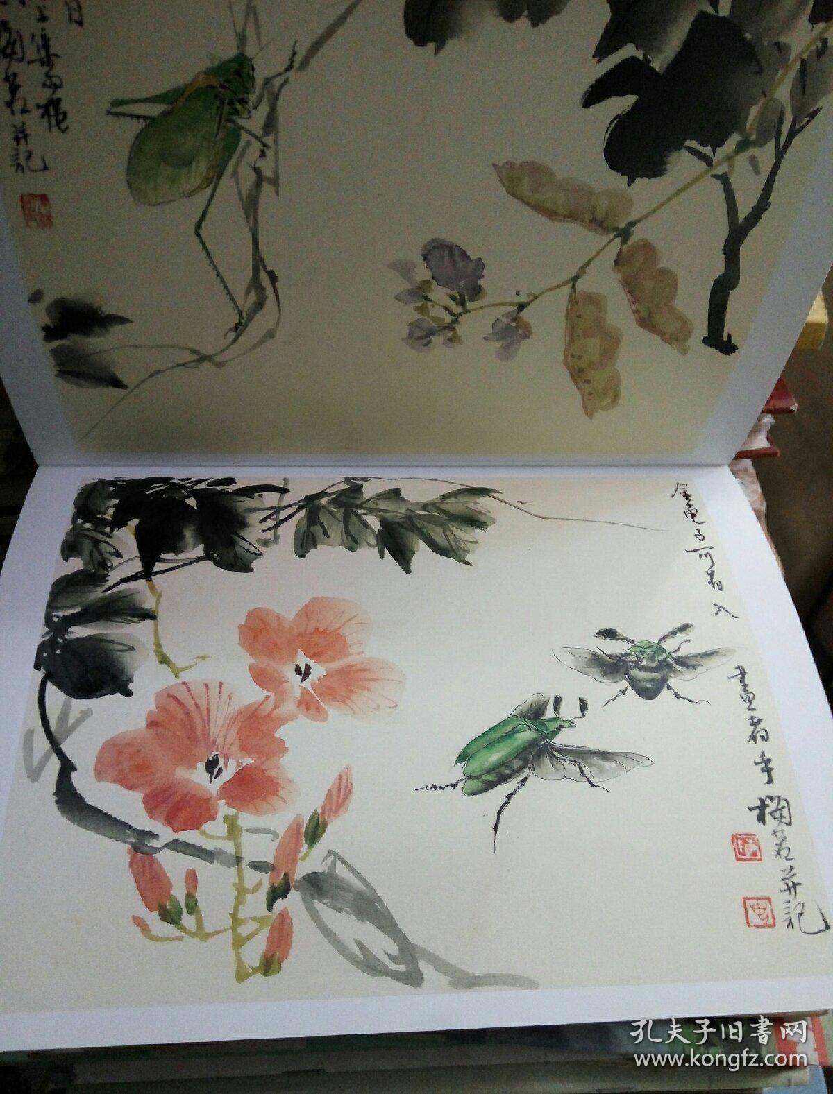 梅若花鸟鱼虫册页