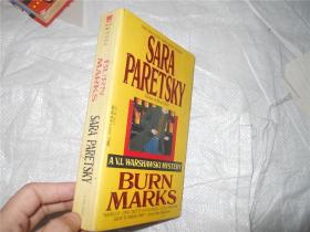 SARA PARETSKY BURN MARKS