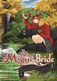 The Ancient Magus Bride Vol. 3