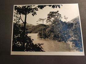民国时期香港银盐海景照片沙龙照一张