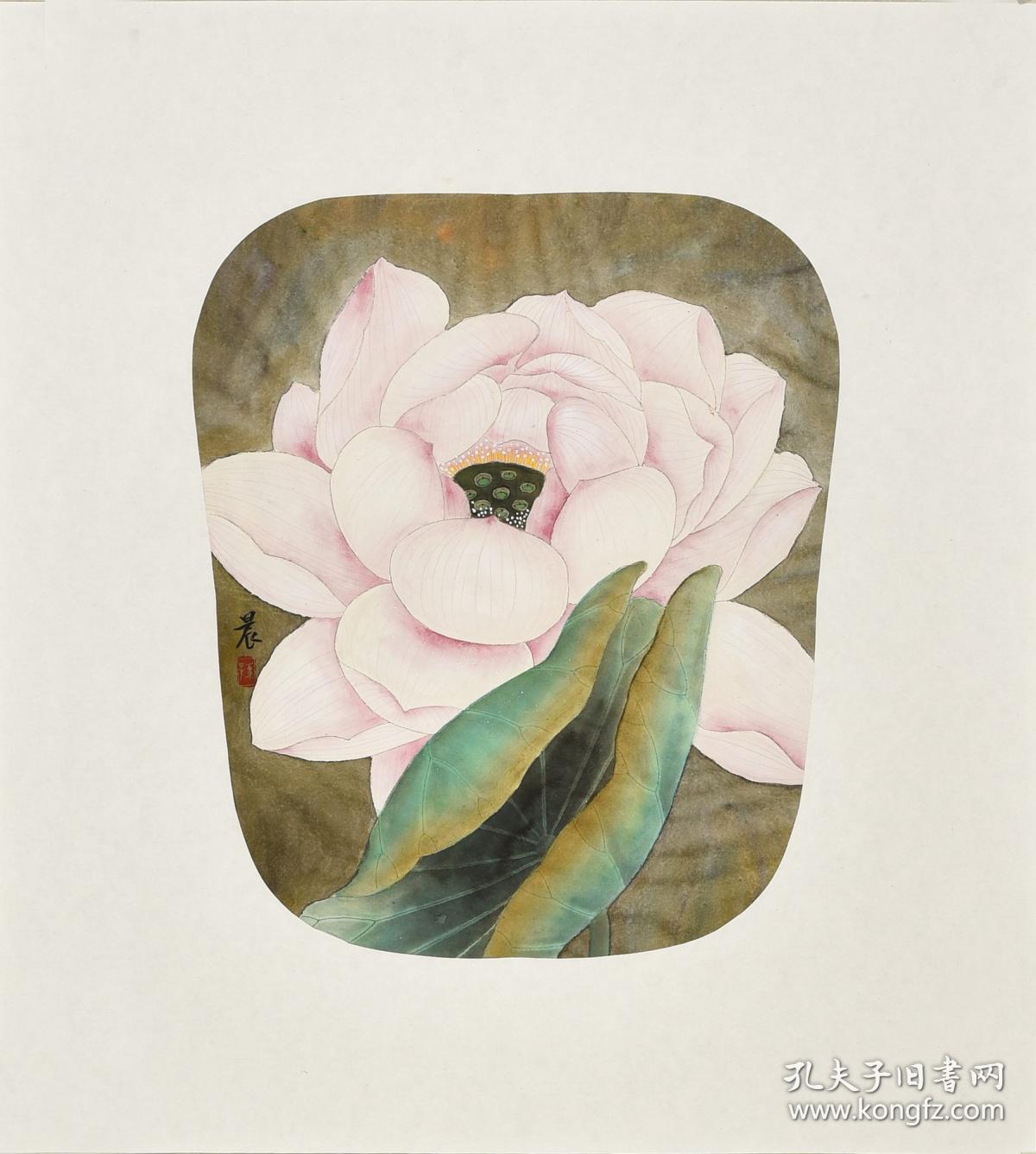 河北美院孙老师玉骨香hn5579