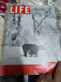 1937年，美国生活杂志，西丠，黄河，，羊皮筏子