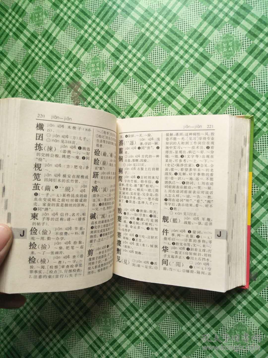 新华字典第10版