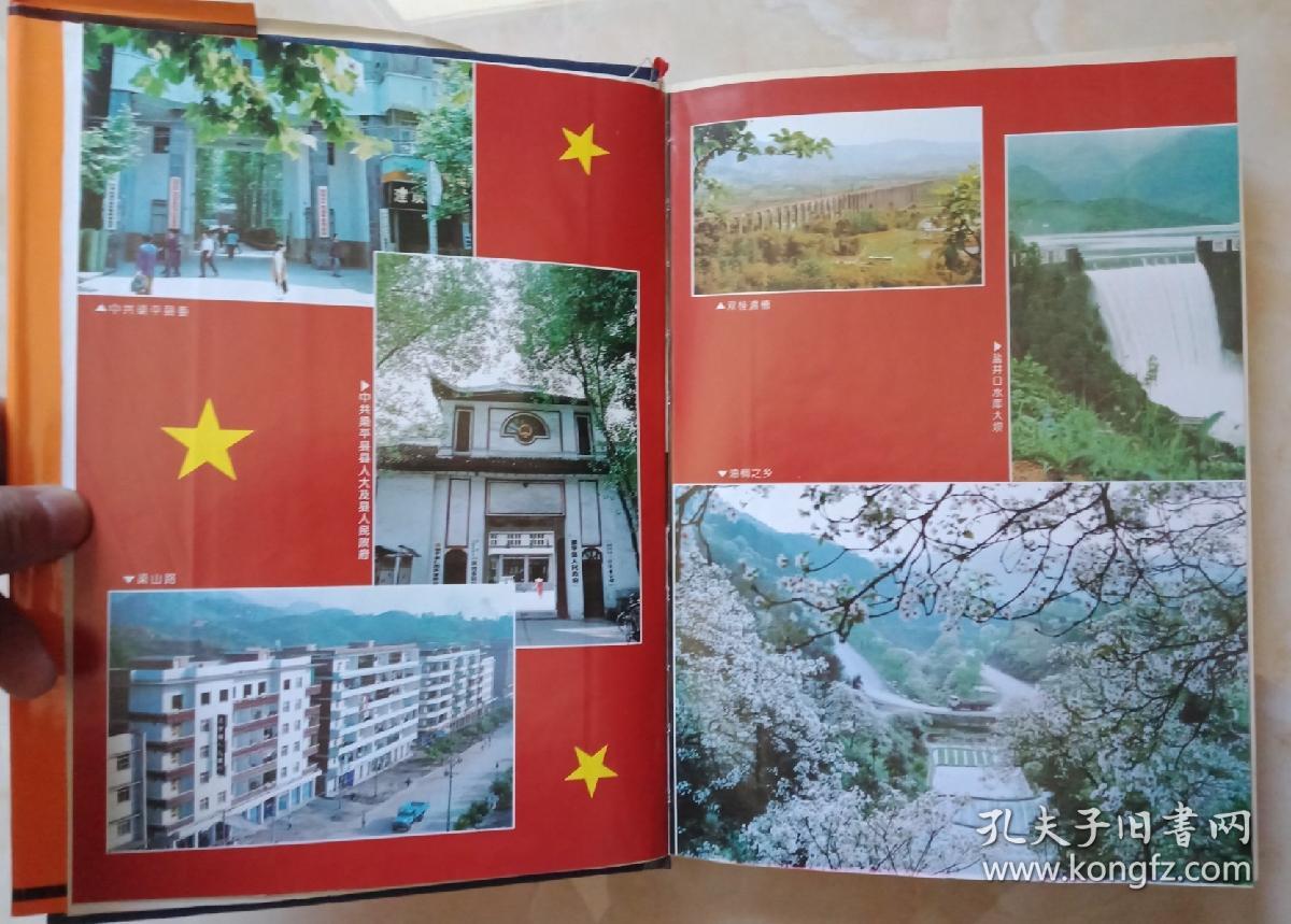 重庆市地方志系列丛书区县系列梁平县志虒人荣誉珍藏