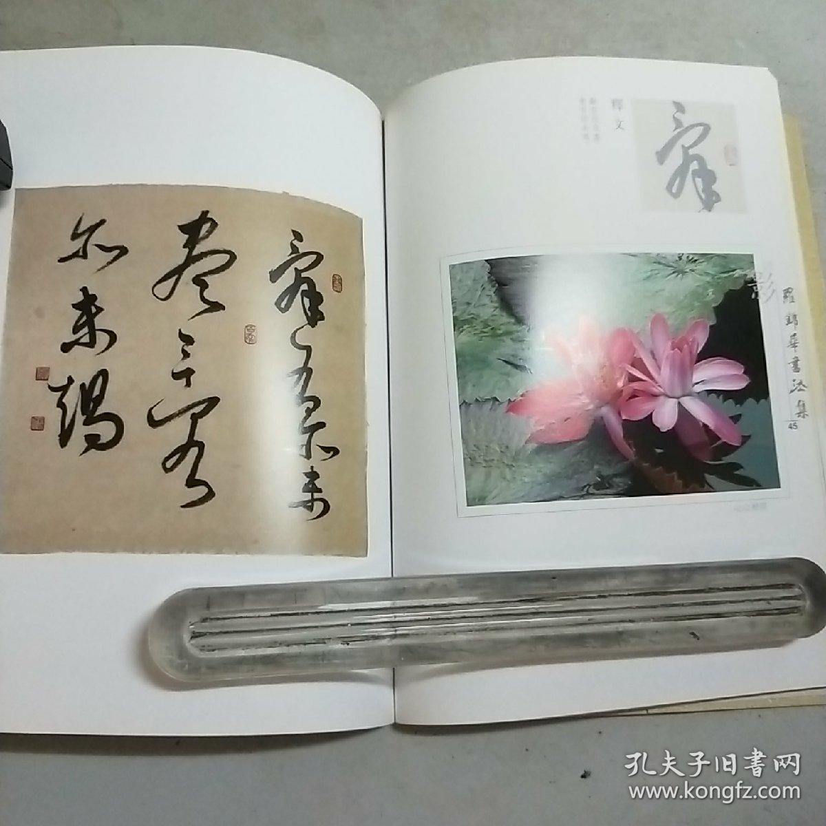 罗锦华书法集(大16开)