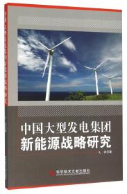 中国大型发电集团新能源战略研究