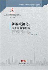 中国新型城镇化：理论与政策框架