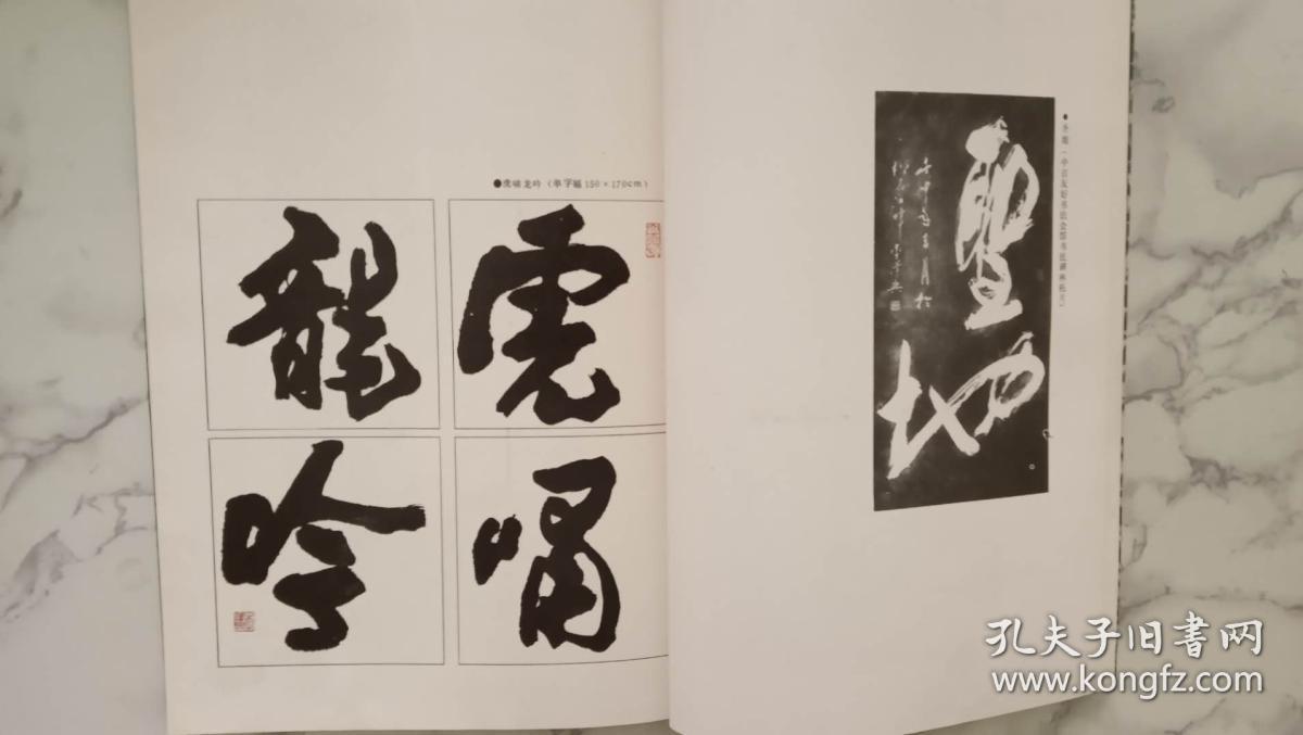 李泽兴书法作品集(签赠本)