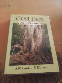 Great Trees of New Zealand  护封少许破损