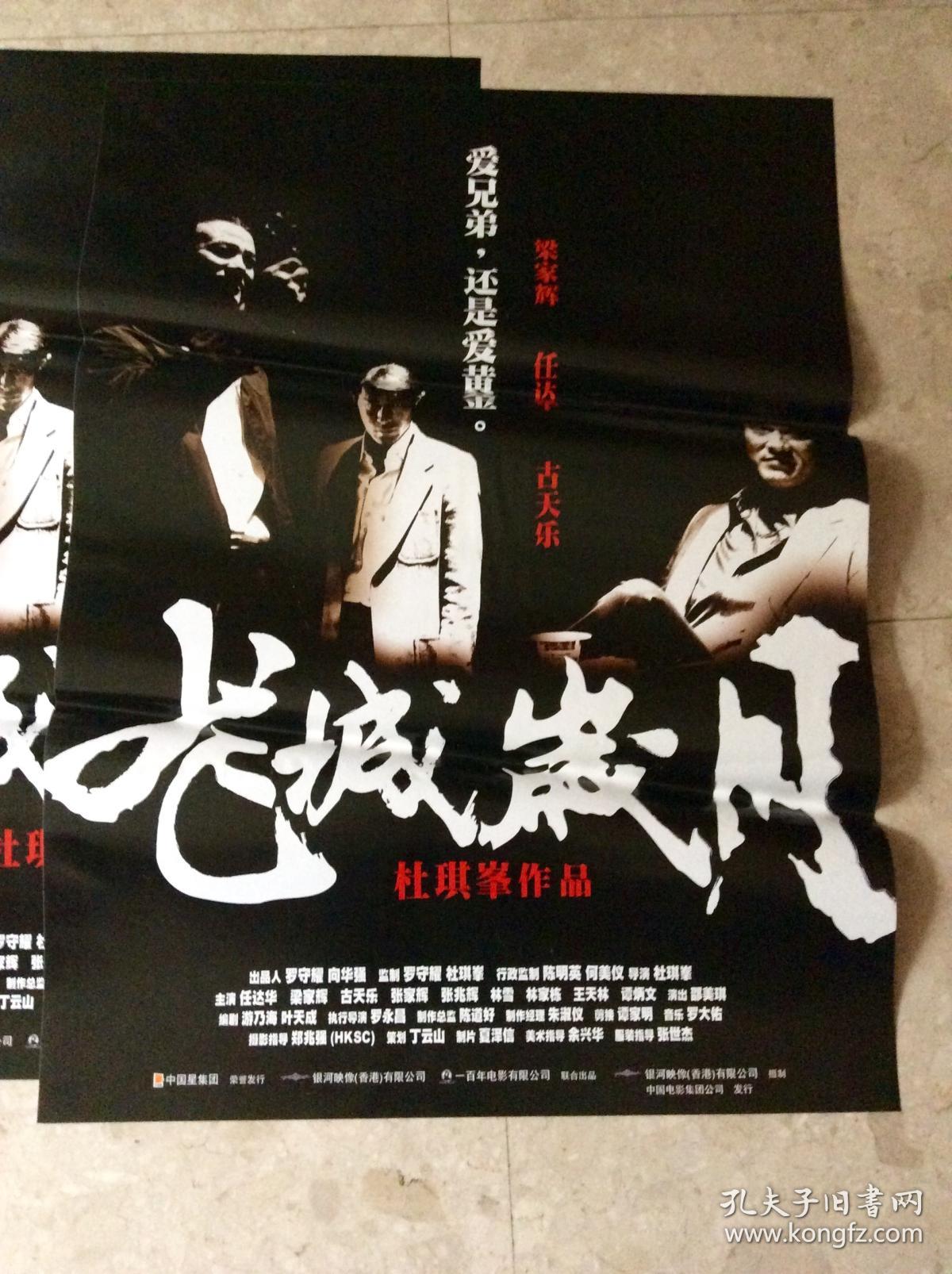 电影海报(1开):龙城岁月