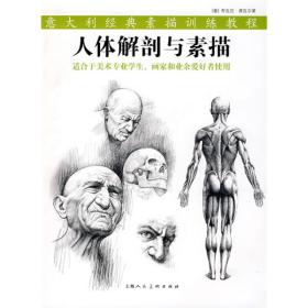 人体解剖与素描