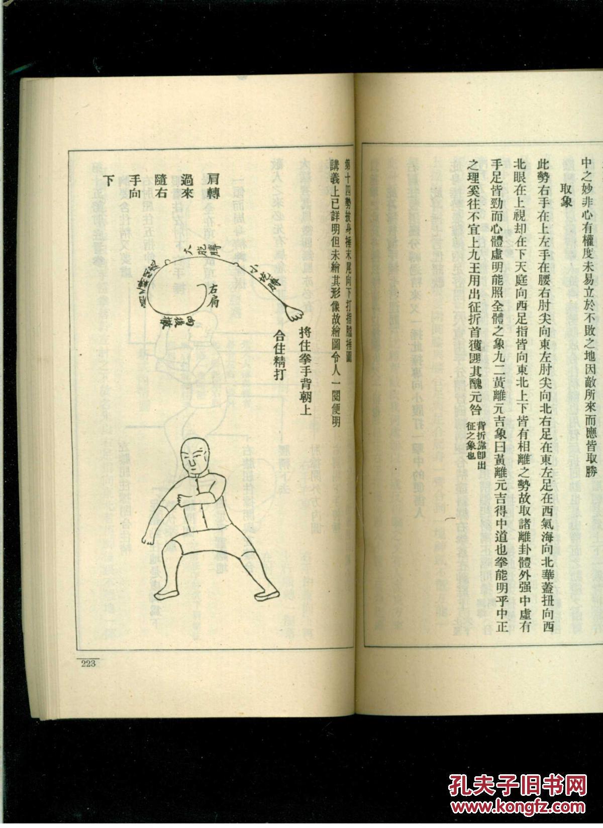 陈氏太极拳图说(影印版)(24开平装)八五品