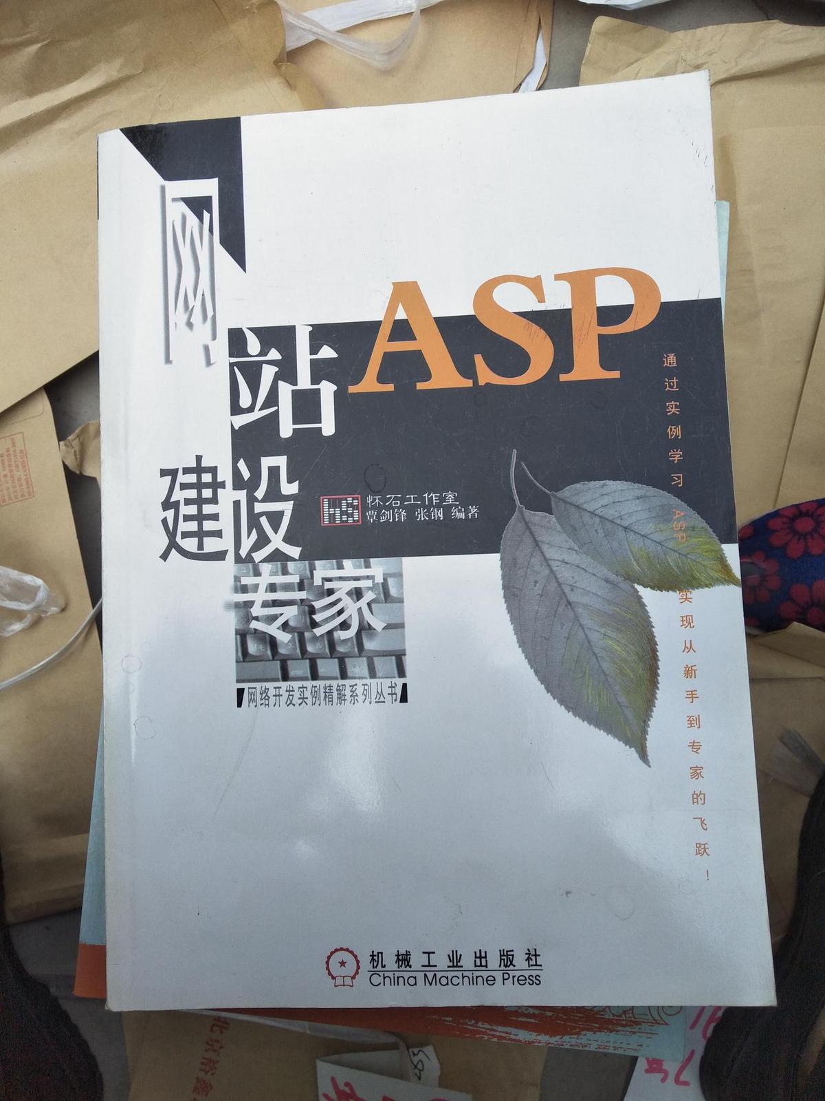 ASP网站建设专家