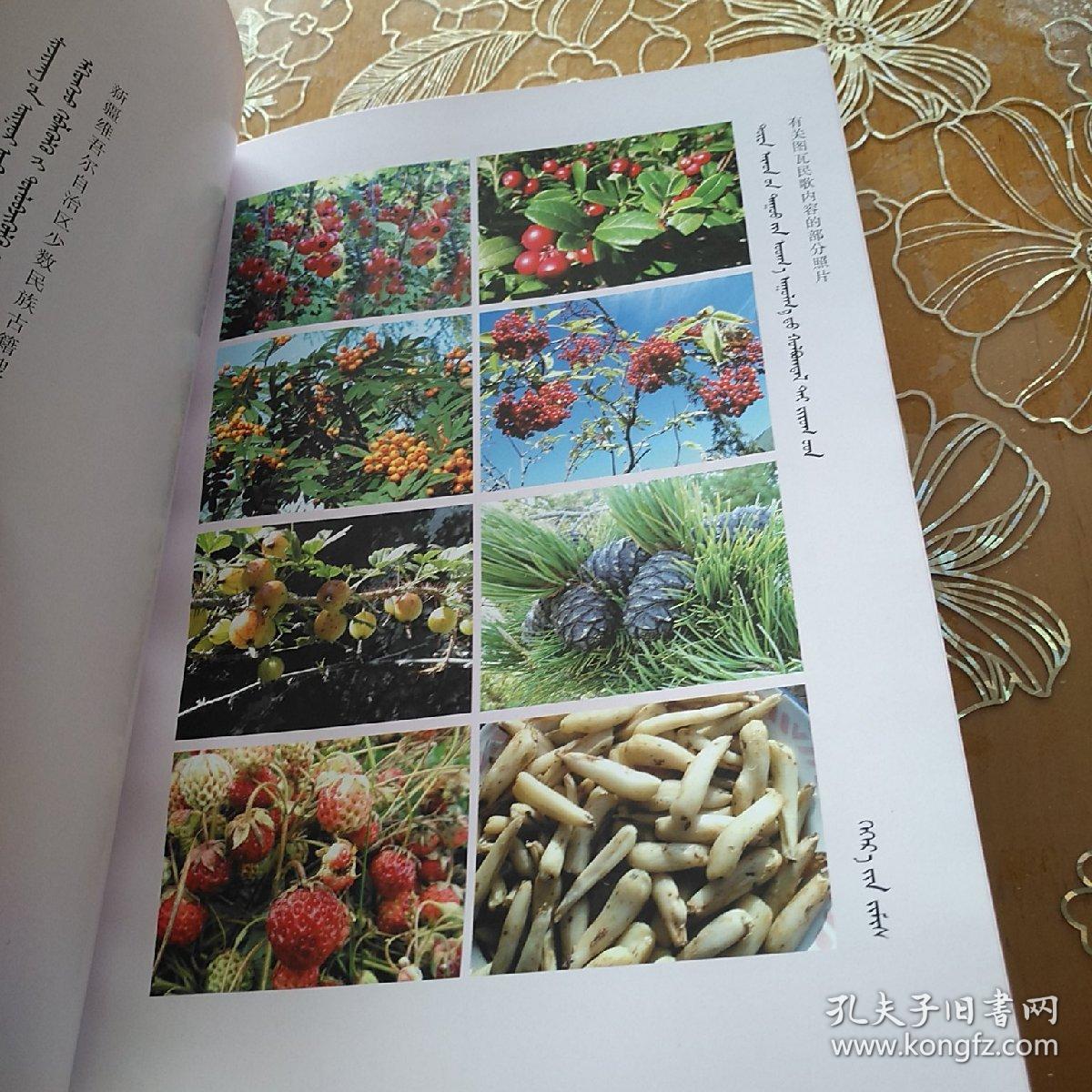 中国图瓦民歌蒙汉文彩色插图版