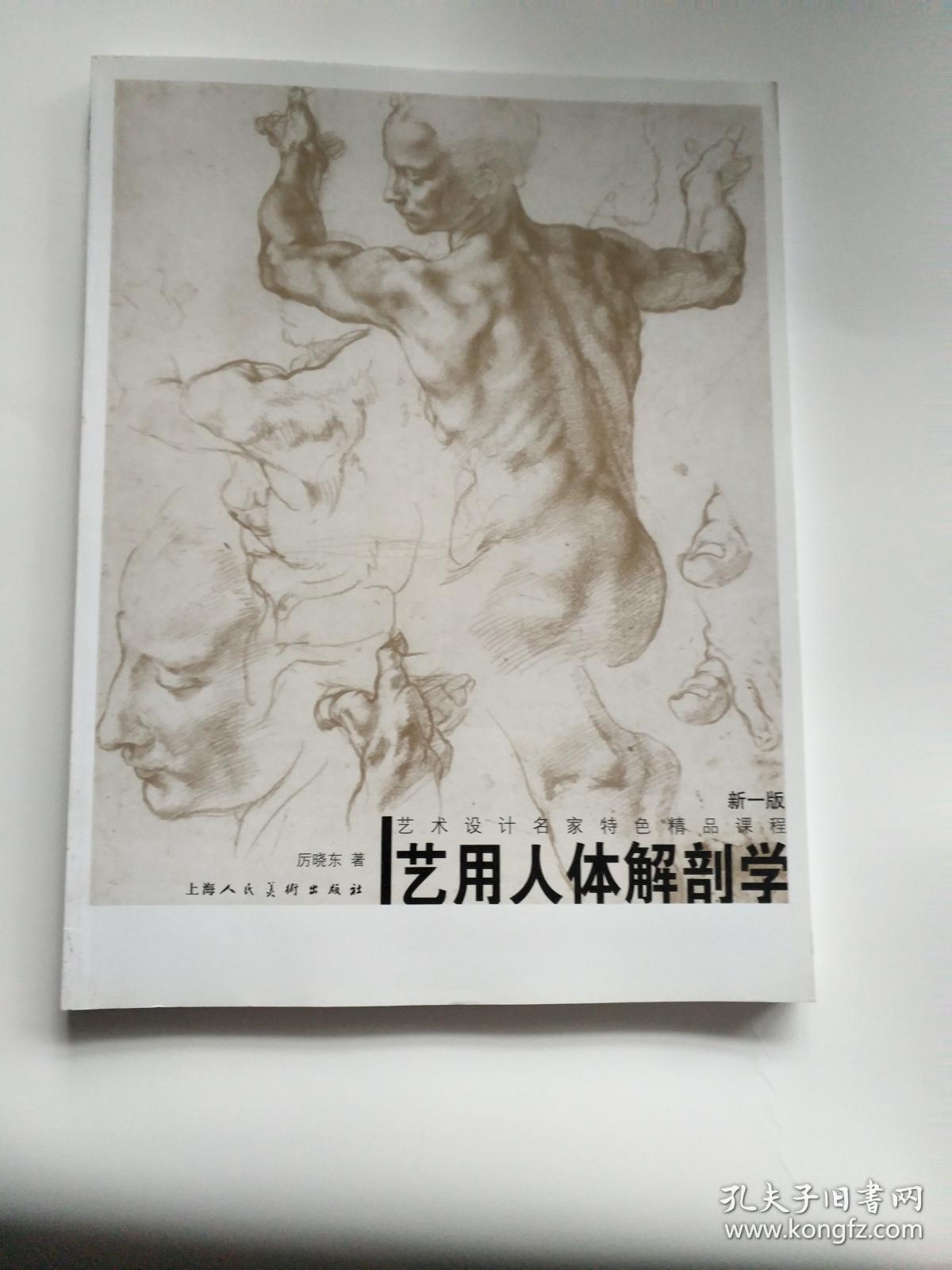 艺用人体解剖学新1版