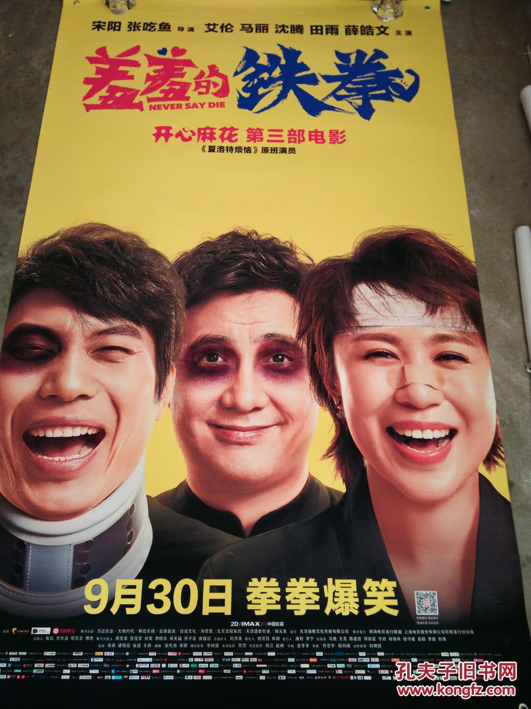 电影海报;羞羞的铁拳[198x118.两张不同]