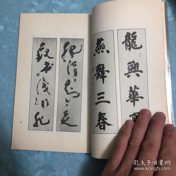 卢有光楹联书法集