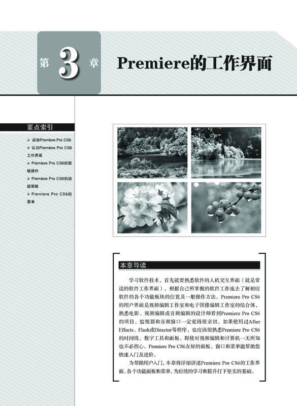 Adobe中文版Premiere Pro CS6技术大全 专著 樊宁宁编著 Adobe zhong wen ban Premiere Pro C
