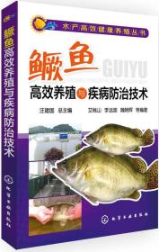 鳜鱼高效养殖与疾病防治技术
