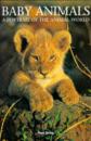 Baby Animals (A Portrait of the Animal World)