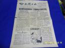 老校刊报纸---哈尔滨工大  1955年7月11日  繁体横排   8开2版  专刊 （批判胡风内容专刊）