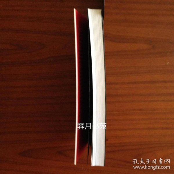 维特根斯坦的拨火棍—两位哲学家十分钟争吵的故事