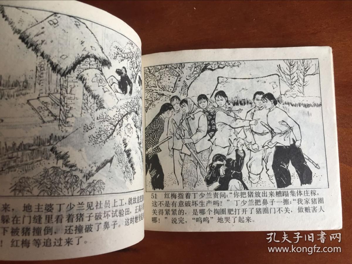 文革连环画 山里红梅