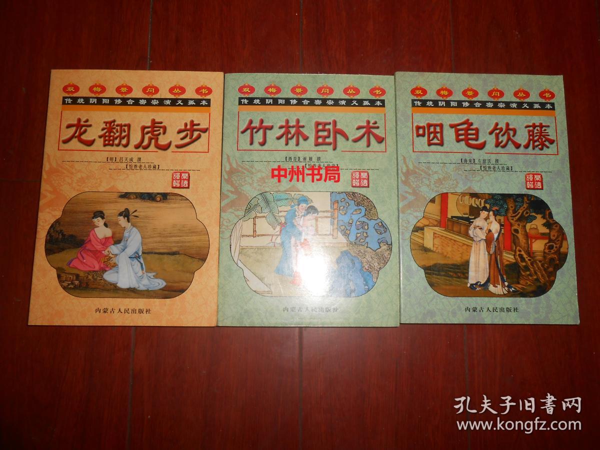 双梅景暗丛书:龙翻虎步.竹林卧术.