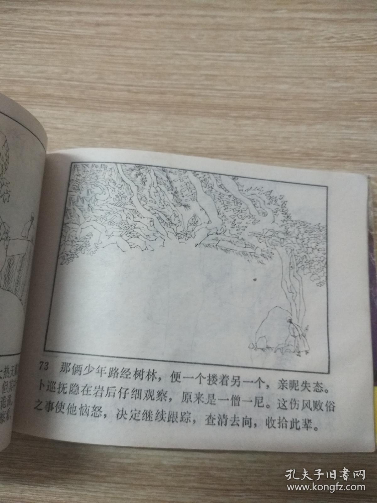 火烧红莲寺 全二册