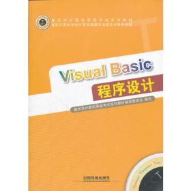 visualbasic程序设计