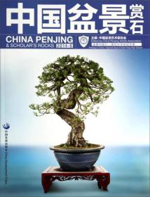 中国盆景赏石