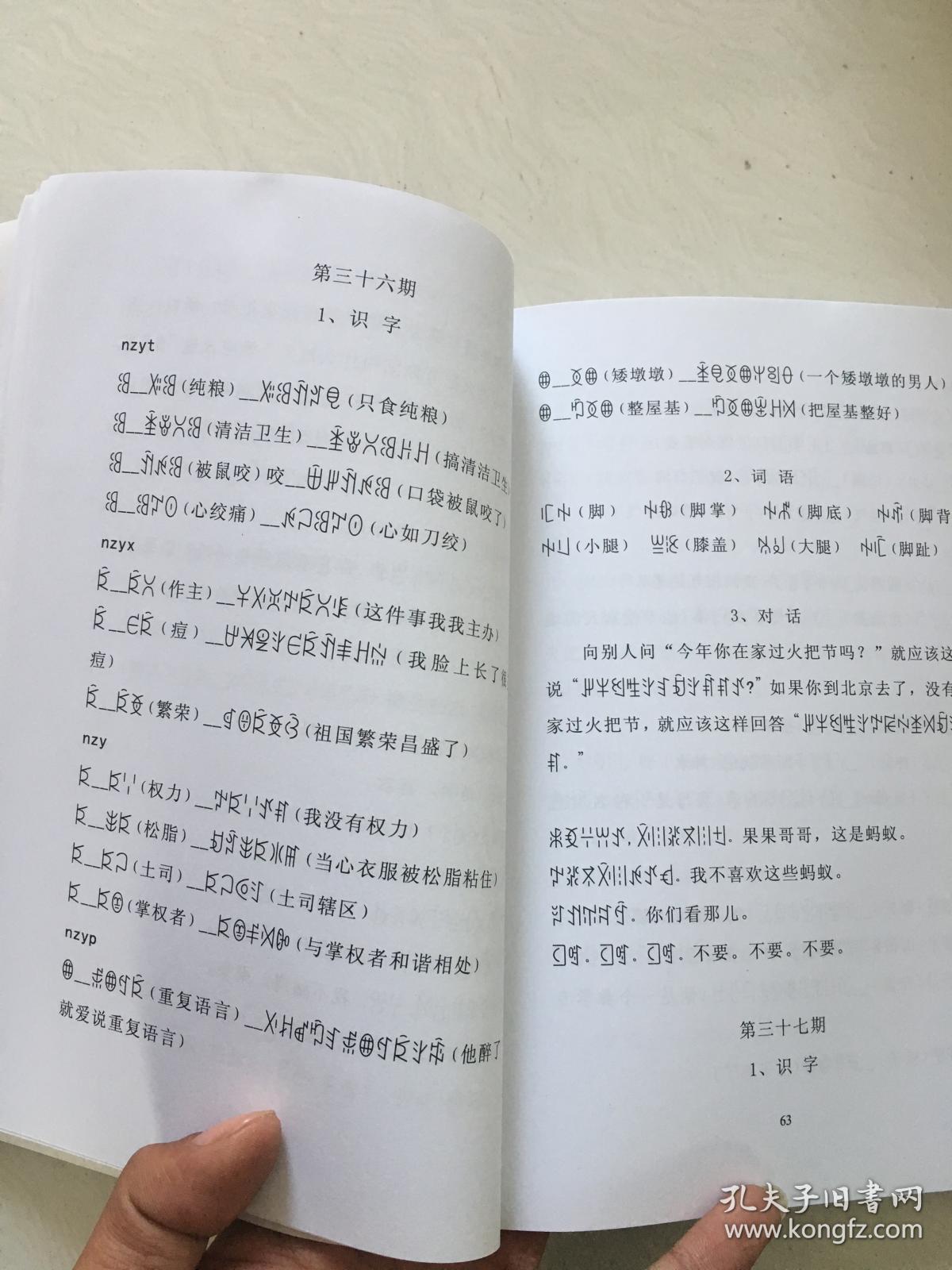 彝族书籍跟我学彝语彝汉双语电视教材dvd附一本教材书10个光盘零基础