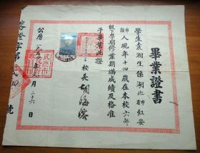 1954年武汉市武昌第十二小学毕业证书