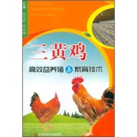 三黄鸡高效益养殖与繁育技术