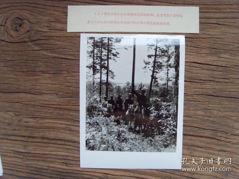 1973年,黑龙江省 呼玛县,鄂伦春族护林小组骑马在森林林场巡逻