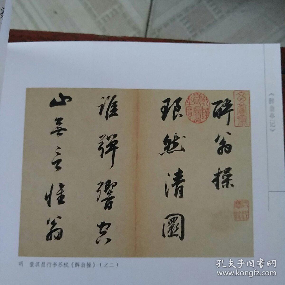 千古绝唱系列:醉翁亭记_叶梅 著_孔夫子旧书网