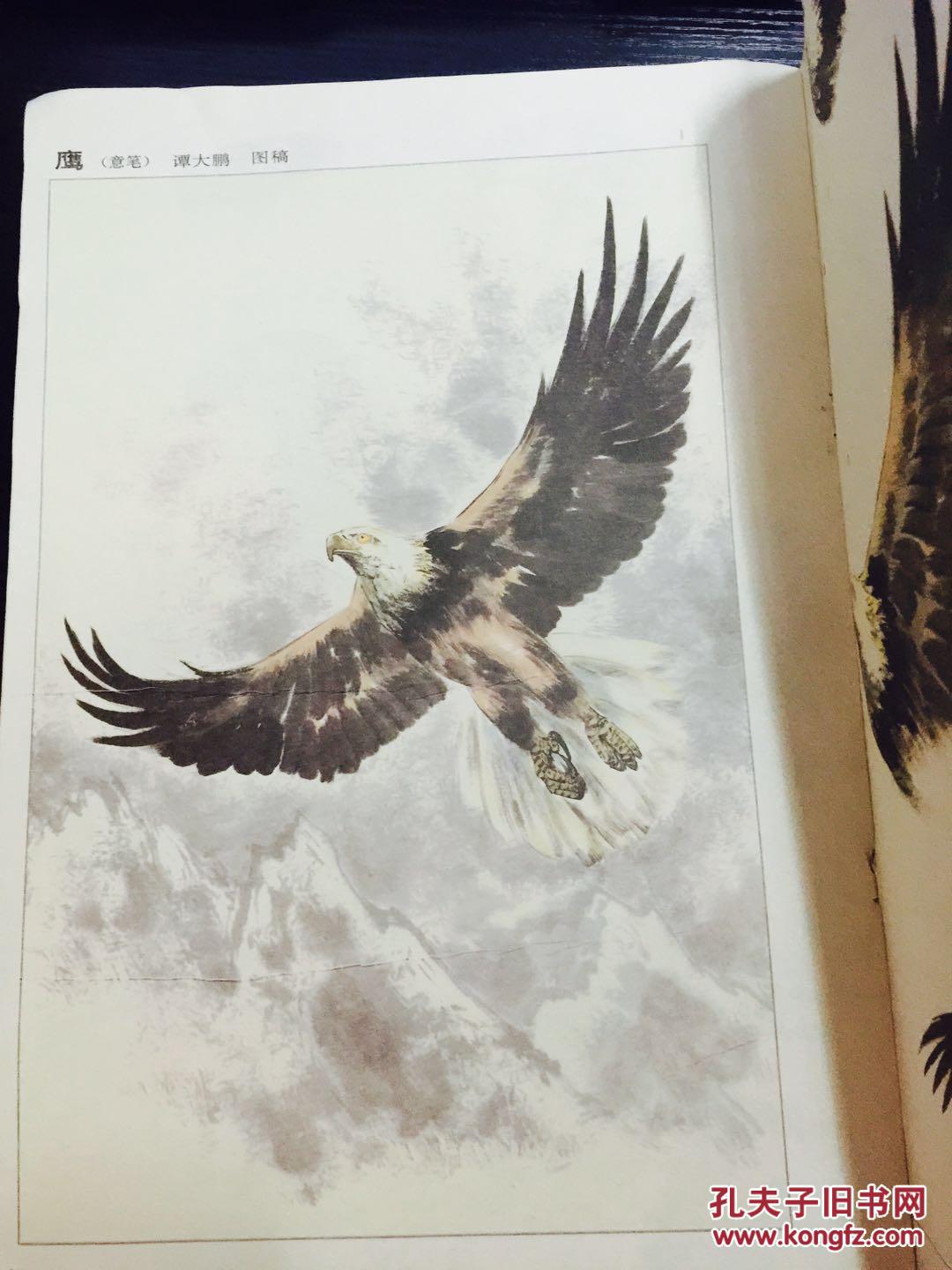 中国画摹本(10)---鹰【花鸟画技法】