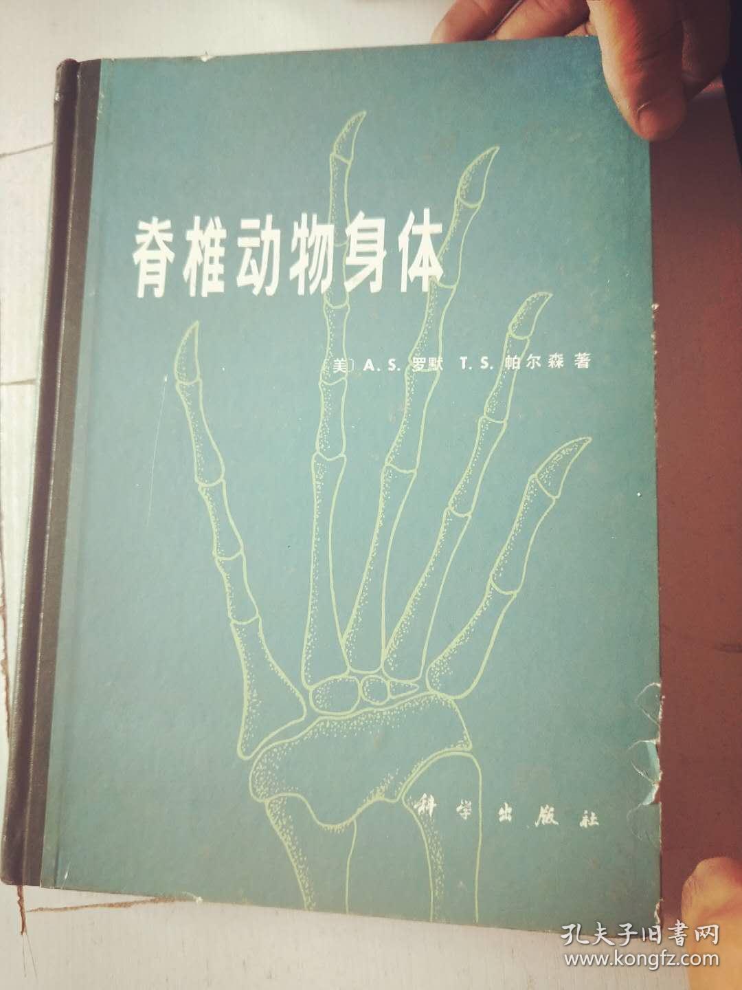 帕尔森著 杨白仑译_孔夫子旧书网