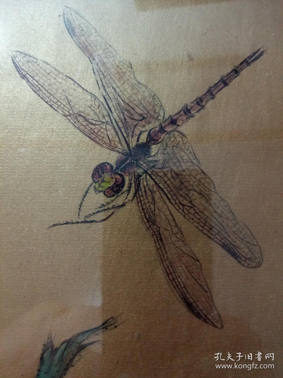 国画蜻蜓