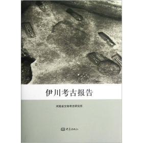 伊川考古报告（16开精装 全1册）