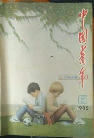 中国青年1985(6期)