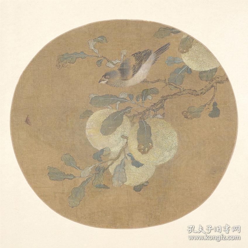 宋画花鸟 佚名 橘枝栖雀图