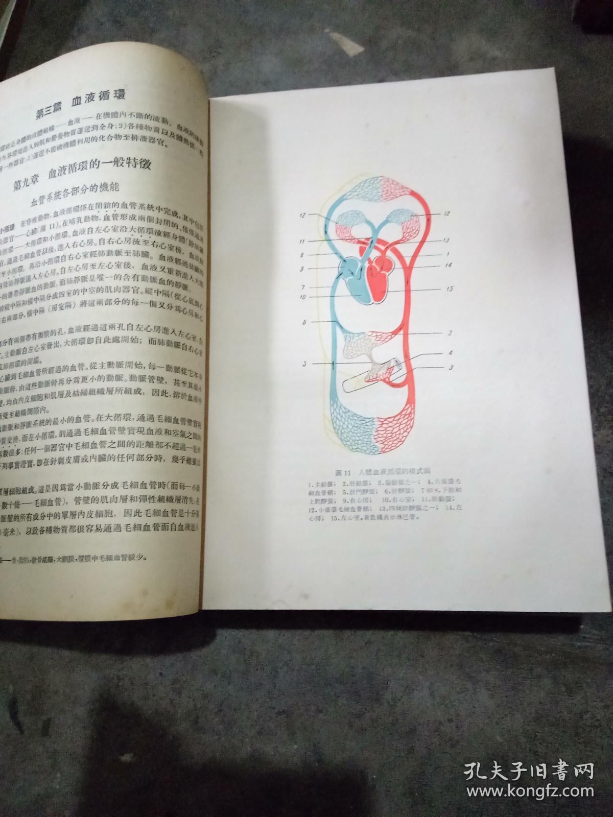 生理学_何瑞荣 等译_孔夫子旧书网