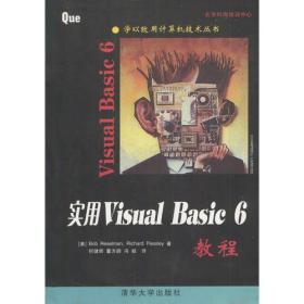 实用Visual Basic 6教程
