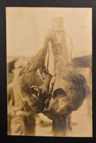 甲6506清末老照片首级黑白老照片原照两张银盐照片今将金迦官当场击